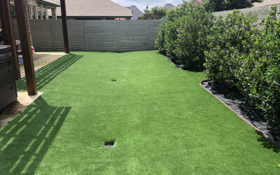 From Backyard Blah to Backyard WOW: Turf That Turns Heads