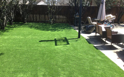 Why Mow When You Can Glow? The Lazy Genius Guide to Turf
